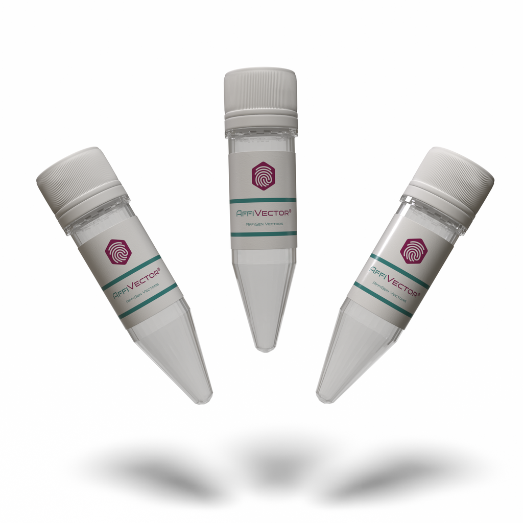 AffiVECTOR® Hsp-3338neo